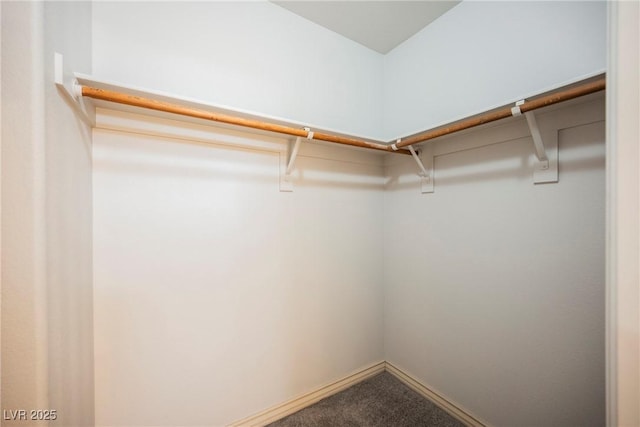 spacious closet with carpet