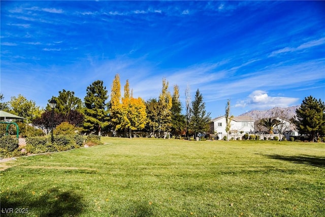 view of yard featuring a mountain view