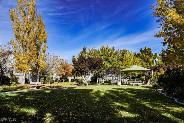 view of community featuring a lawn