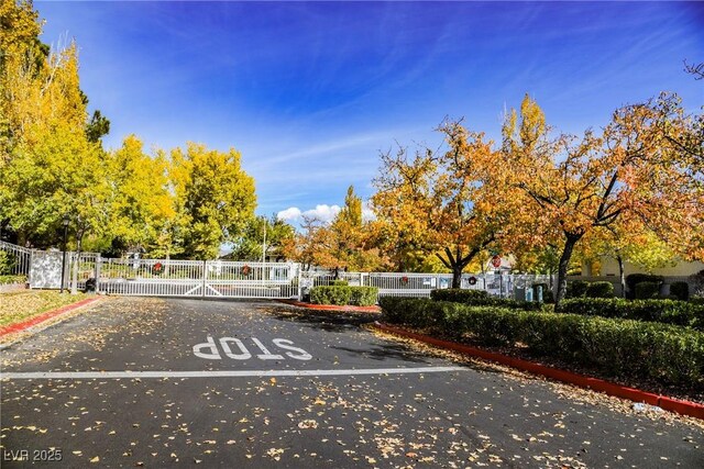 view of road with a gate, curbs, and a gated entry