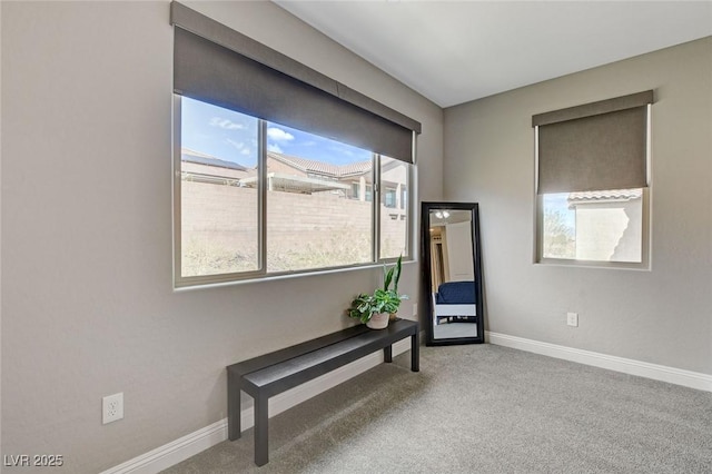 unfurnished room featuring baseboards and carpet flooring