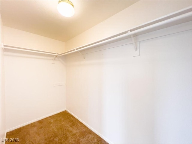 walk in closet featuring carpet flooring