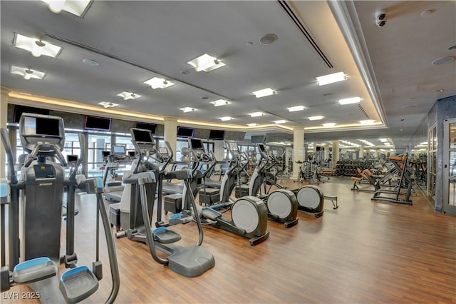 exercise room featuring a tray ceiling and wood finished floors