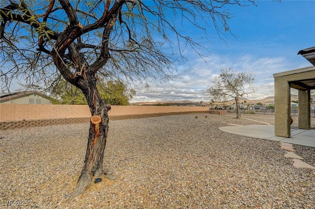 view of yard with a patio area and a fenced backyard