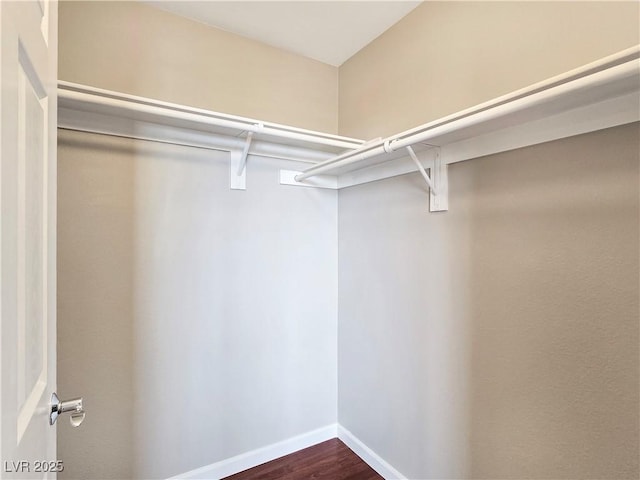 walk in closet featuring dark wood finished floors