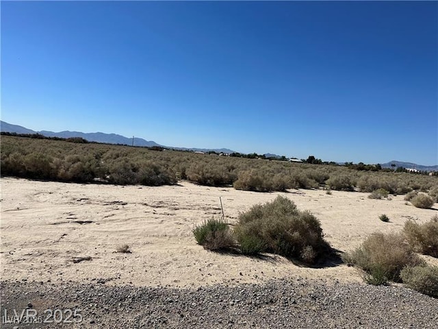 4100 S Largo Ave, Pahrump NV, 89061 land for sale