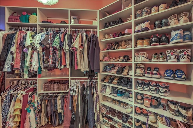 view of walk in closet