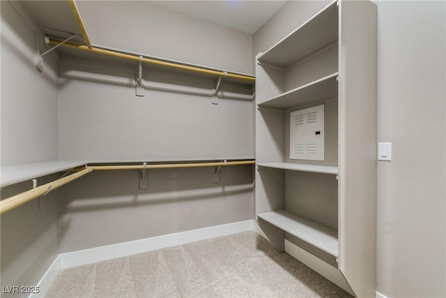 spacious closet with carpet