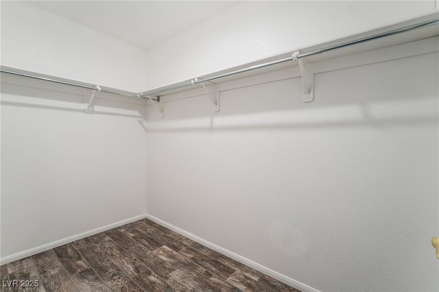 walk in closet with dark wood-type flooring