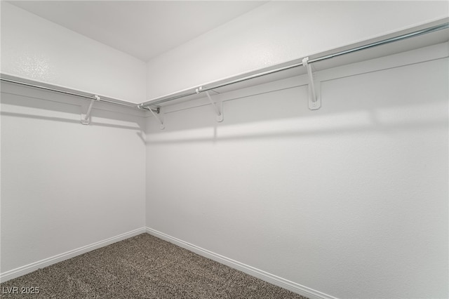 206 Lynbrook St, Henderson, NV 89012 - walk in closet featuring carpet