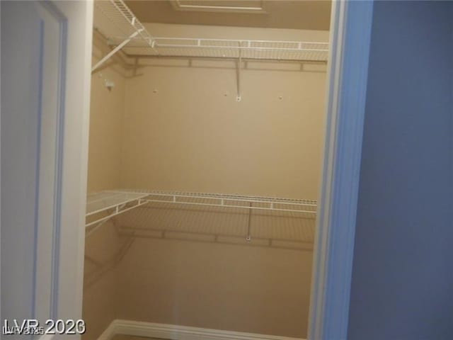 view of spacious closet