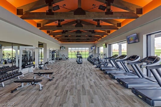 workout area featuring high vaulted ceiling and wood finished floors