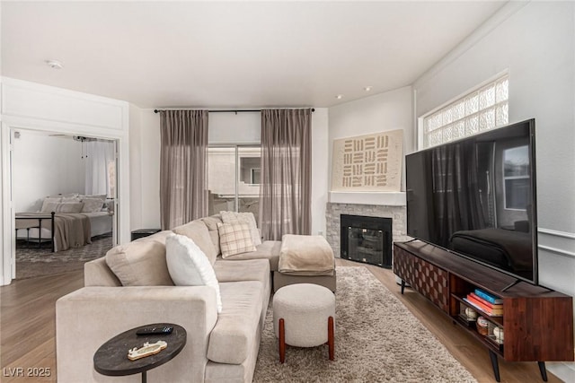 living area featuring wood finished floors and a fireplace