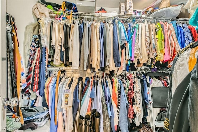 view of spacious closet