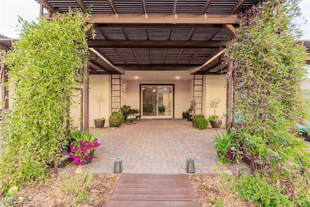 view of exterior entry featuring a patio area, stucco siding, and a pergola