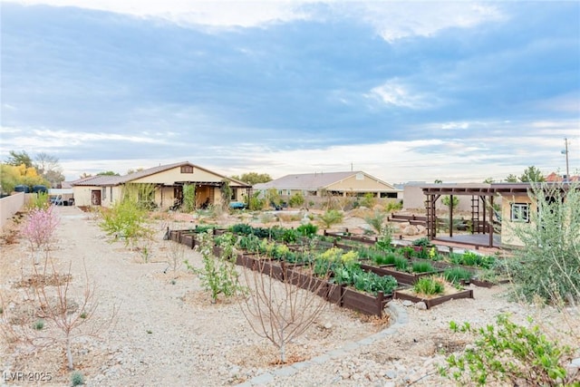 view of yard with a garden