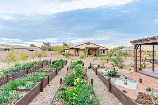 view of yard with a vegetable garden