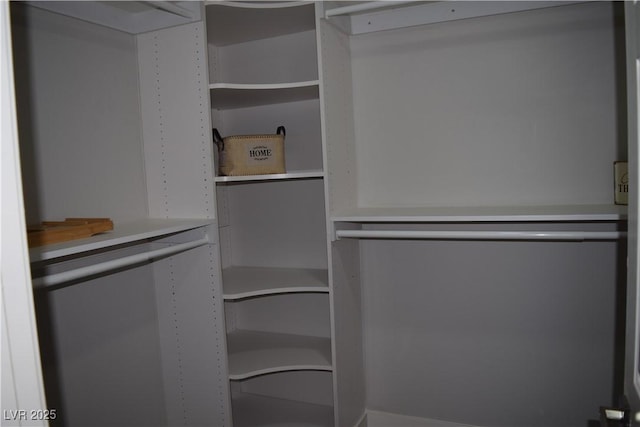 view of walk in closet