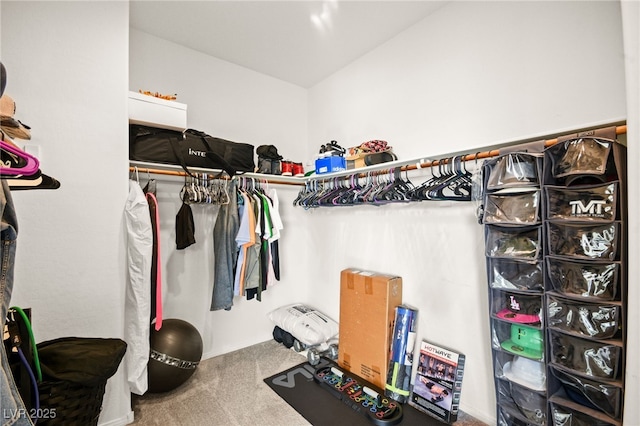 walk in closet with carpet floors