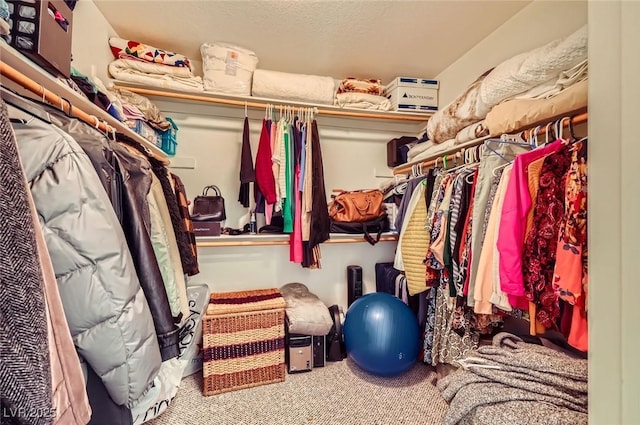 spacious closet with carpet