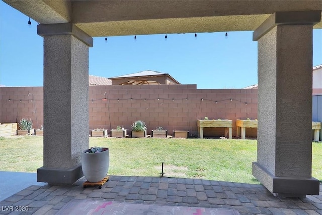 view of yard with a patio and a fenced backyard