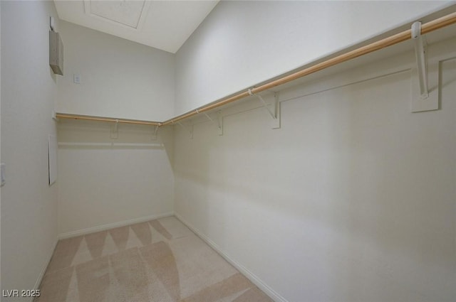 spacious closet featuring light colored carpet