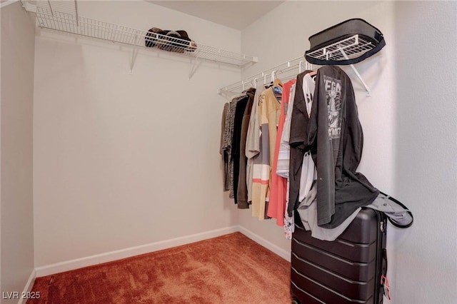 spacious closet with carpet floors