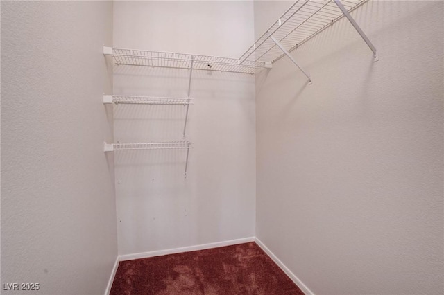 spacious closet with carpet