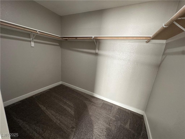 walk in closet with dark carpet