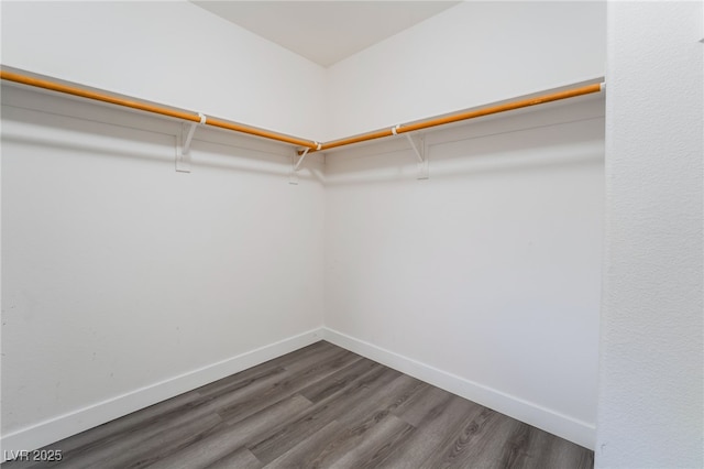 walk in closet with dark wood-type flooring