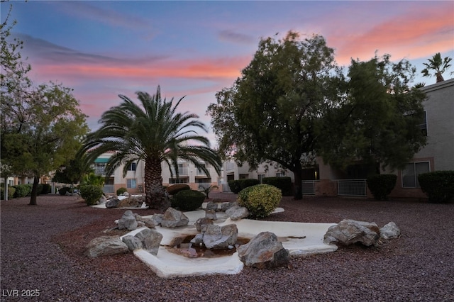 view of yard at dusk