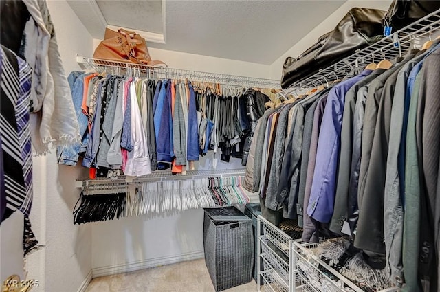 view of walk in closet