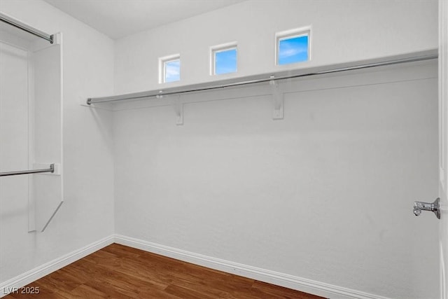 spacious closet featuring wood finished floors