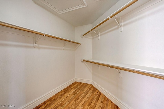 walk in closet with light wood-type flooring and attic access