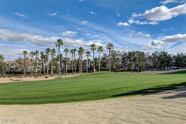 surrounding community featuring a yard