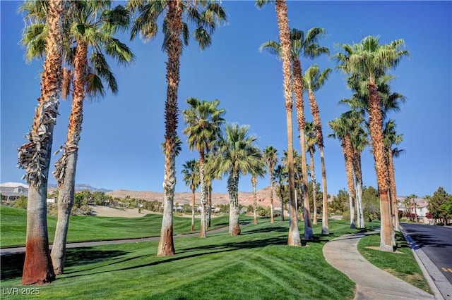 view of home's community with a yard