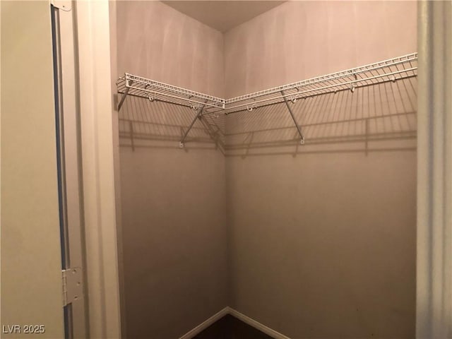 view of walk in closet