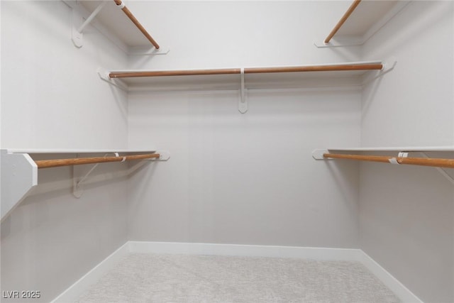 walk in closet with carpet