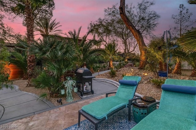 view of patio with area for grilling