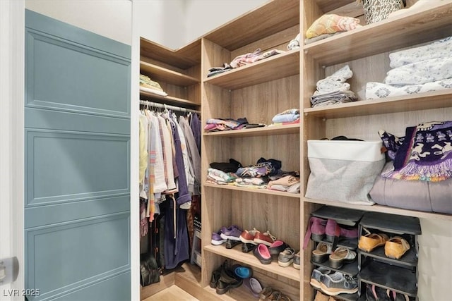 view of walk in closet