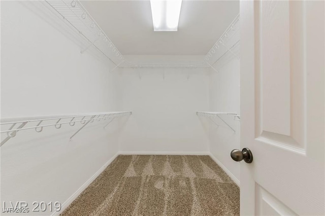 walk in closet with carpet