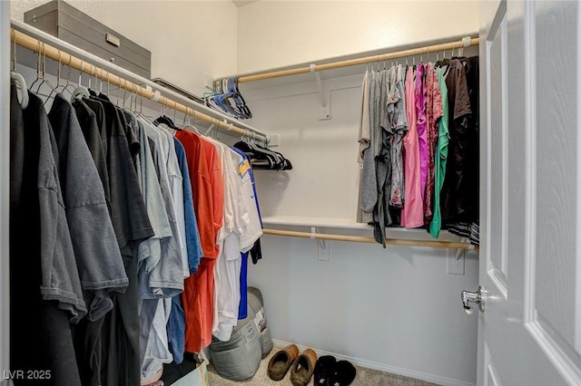 view of walk in closet