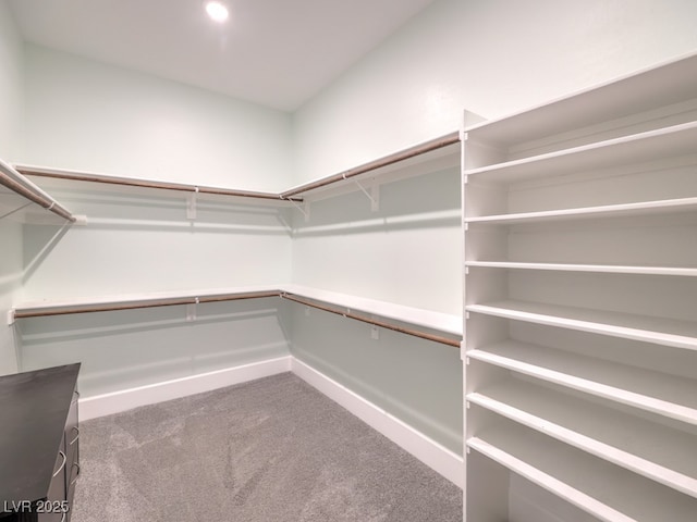 walk in closet with carpet floors