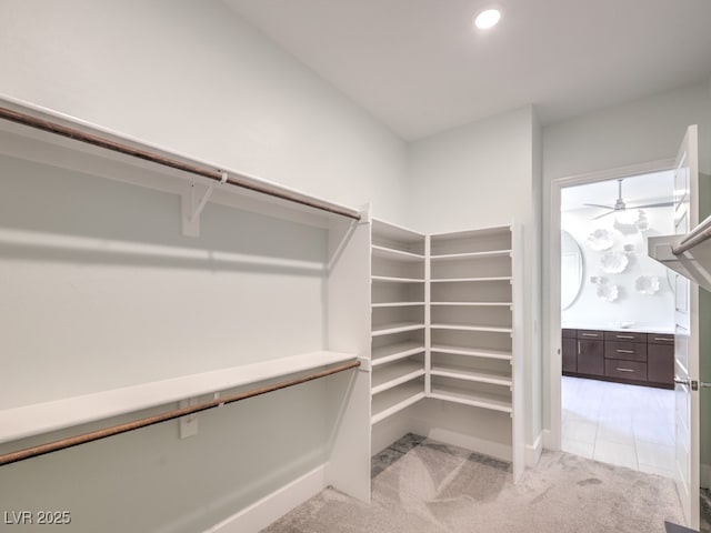 spacious closet featuring light carpet