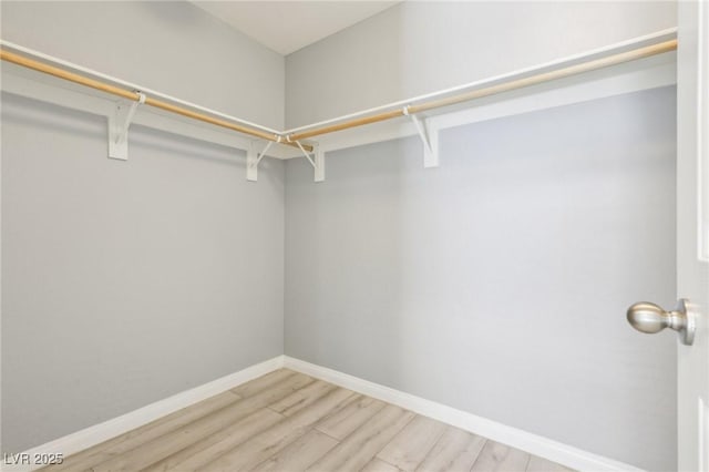 walk in closet featuring light wood finished floors