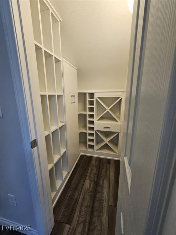 spacious closet featuring dark wood-type flooring