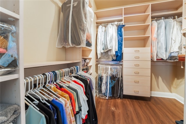 spacious closet featuring wood finished floors