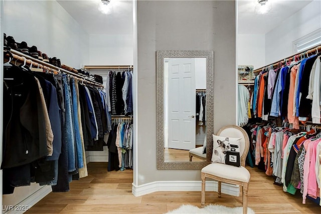 spacious closet featuring wood finished floors