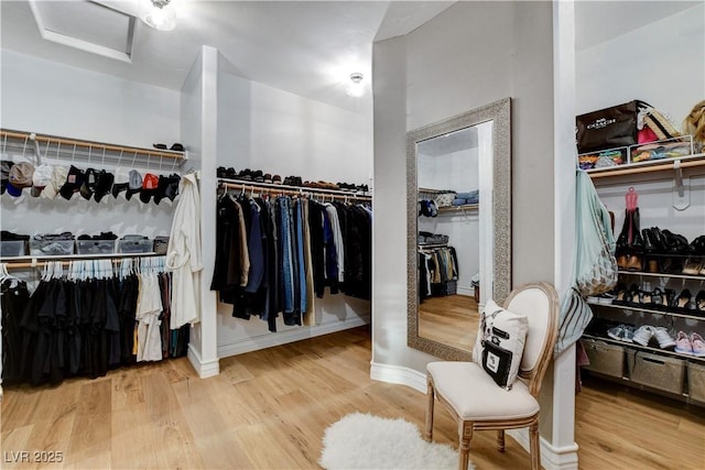 walk in closet with attic access and wood finished floors