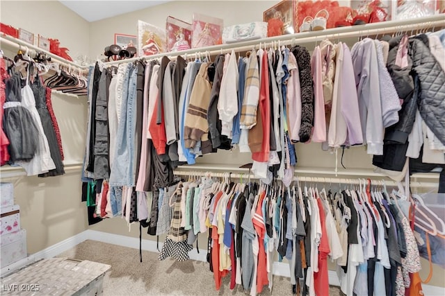 walk in closet with carpet floors